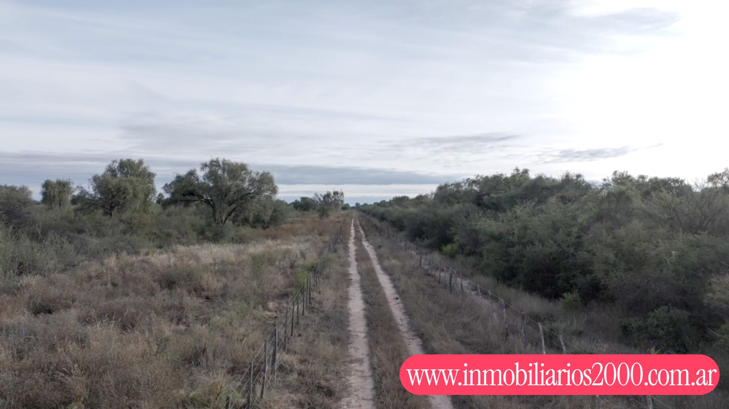 Córdoba Cruz del Eje 1.250 has Ganaderas Selectivas